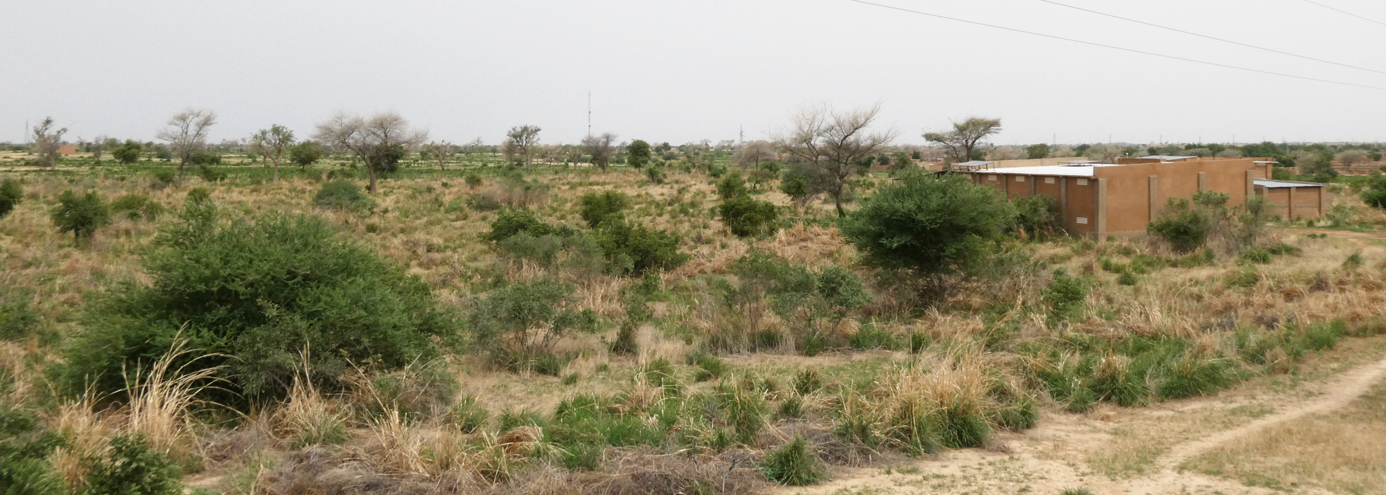 The site Hanza Hikima of Sahara Sahel Foods in Bakar Dawa.